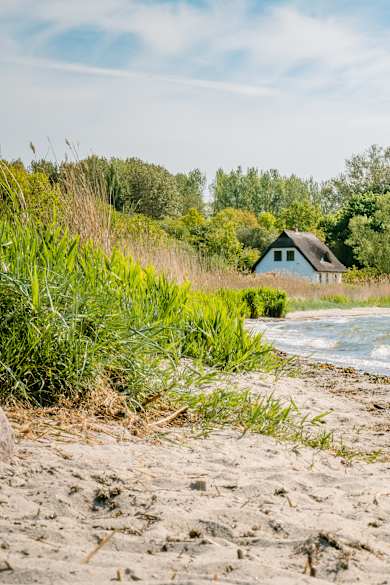 Ein Strand mit einem kleinen Haus umgeben von Bäumen